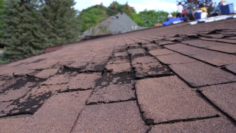 Roof Insulation in Stiles, PA