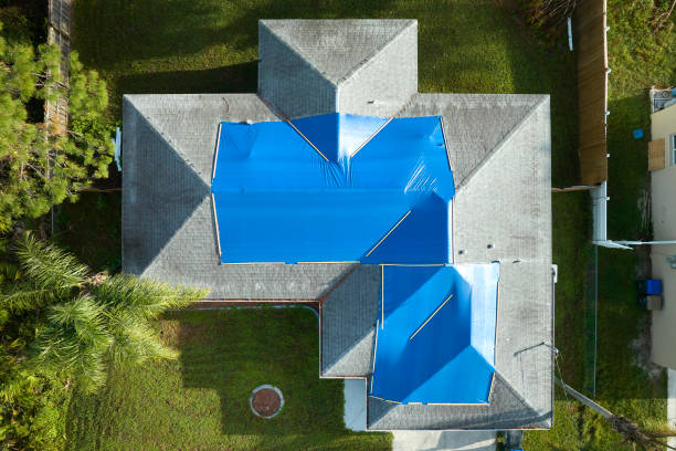 Best Roof Moss and Algae Removal  in Stiles, PA