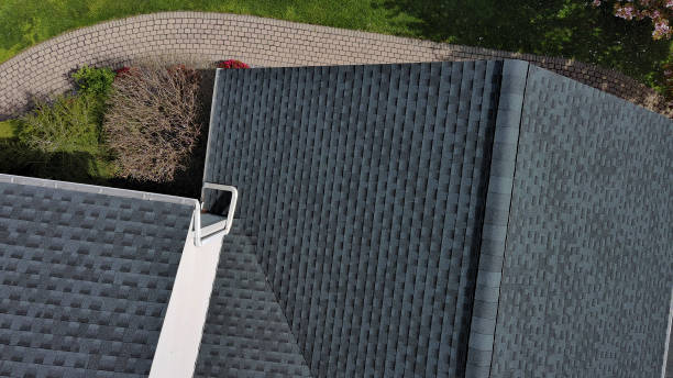 Best Roof Moss and Algae Removal  in Stiles, PA